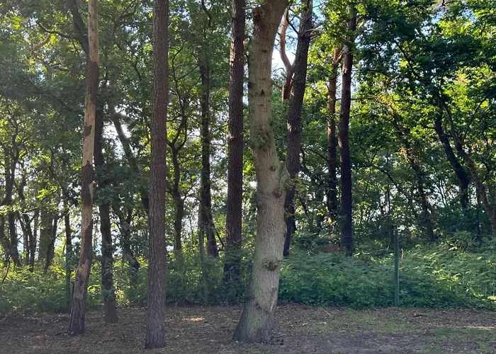 Letni Na Wydmie Casa vacanze Pobierowo